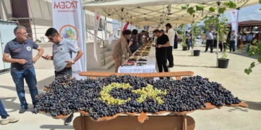 Tekirdağ’da üzüm şöleni: Onlarca yeni çeşit tanıtıldı