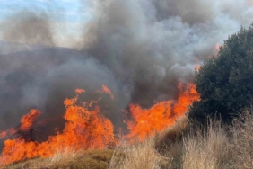 Erdek’te 100 dönümlük alanda yangın