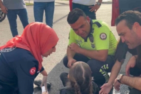 Kazazede yaralı çocuğun "Acımayacak değil mi? Korkuyorum ben" demesi ekipleri duygulandırdı
