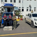 Yeşilbaşlı yaban ördeklerini avda mühre olarak kullanan avcılara 64 bin lira ceza