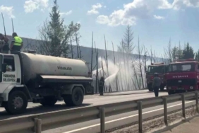 D-650’de korkutan yangın: Ağaçlar alev topuna döndü, trafik durduruldu