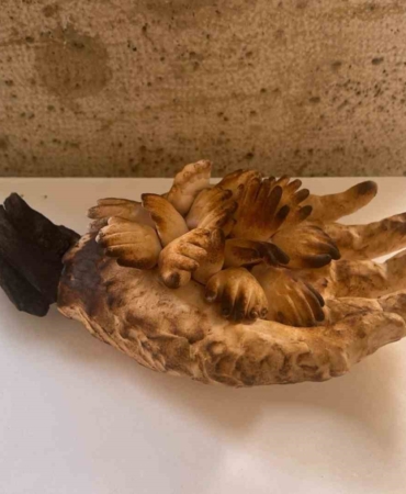 BŞEÜ’den uluslararası yarışmada büyük başarı