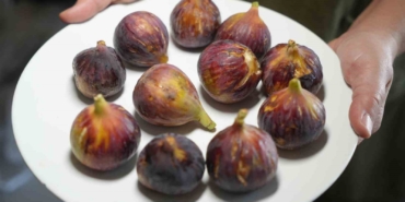 Daha sağlıklı yaşamak için inciri kabuğu ile yiyin