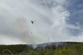 Kocaeli’deki orman yangını 1 saatte kontrol altına alındı