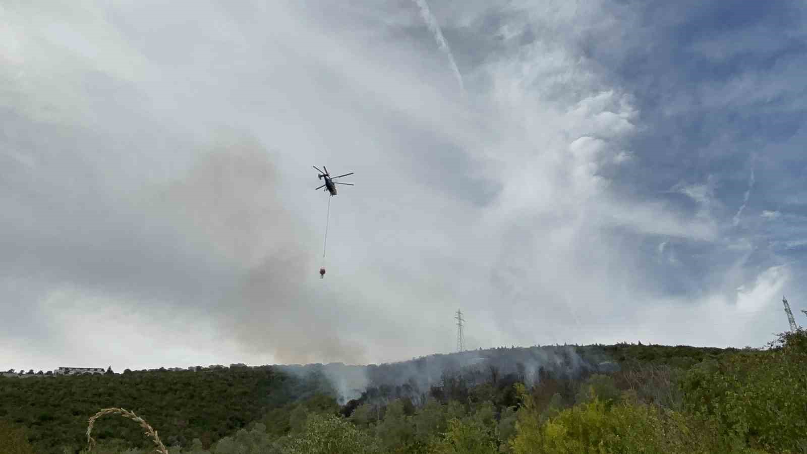 Kocaeli’deki orman yangını 1 saatte kontrol altına alındı