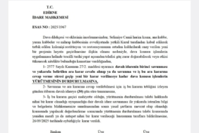 Selimiye Camii’nde tepki çeken restorasyona yargı freni