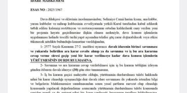 Selimiye Camii’nde tepki çeken restorasyona yargı freni