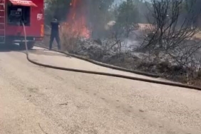 Çalılık alanda çıkan yangın korkuttu