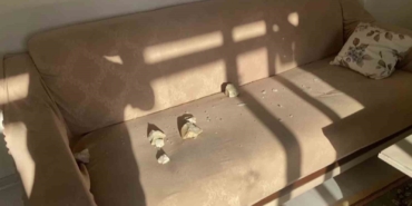 Ümraniye’deki kontrollü patlamanın anı ortaya çıktı