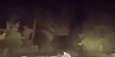 Dağ yolunda sürücüyle karşılaşan ayının panik anları