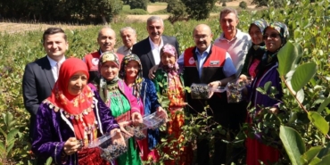 Balıkesir’de ilk aronya hasadı