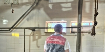 Kırklareli’nde mezbahalara denetim