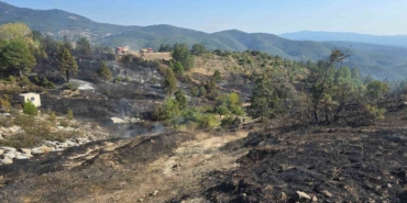 Ormanda piknik keyfi, faciaya sebep oluyordu...
