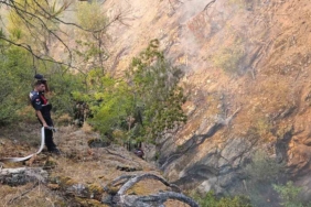 Kepsut’ta başlayan yangına müdahale sürüyor