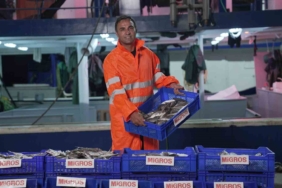 Migros, tüketicilere 15 bin ton taze balık ulaştıracak
