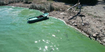 Terkos Gölü’nde endişelendiren görüntü