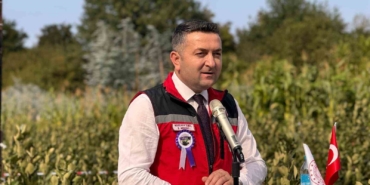 Yalova’nın coğrafi işaretli meyvesi aronyada hasat sevinci