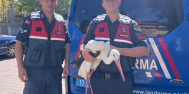 Bayramiç’te bulunan yaralı leylek tedavi altına alındı