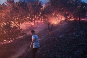 Sakarya’da makilik alanda çıkan yangın söndürüldü