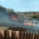 Erdek’te otluk ve ağaçlık alanda yangın