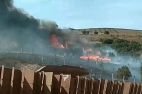 Erdek’te otluk ve ağaçlık alanda yangın