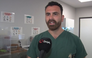 İstanbul’da aşırı meyveden rahatsızlanan 200 kiloluk ayı, tomografi cihazına sokuldu, tedavi edildi