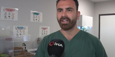 İstanbul’da aşırı meyveden rahatsızlanan 200 kiloluk ayı, tomografi cihazına sokuldu, tedavi edildi