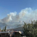 Otluk alanda çıkan yangın, fabrikaları ve villayı tehdit etti