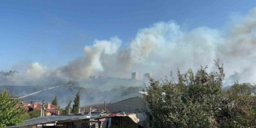 Otluk alanda çıkan yangın, fabrikaları ve villayı tehdit etti