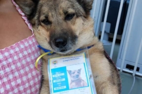 Fenerbahçe başkanlık seçiminde oy kullanma sona erdi