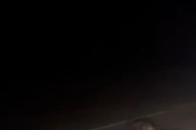 Bursa’da yola atlayan domuz sürüsü telef oldu