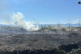 İznik Boyalıca’da sazlık alanda yangın: 100 dönüm alan küle döndü