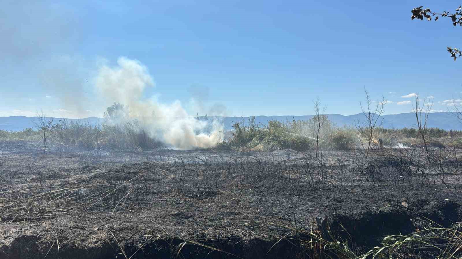 İznik Boyalıca’da sazlık alanda yangın: 100 dönüm alan küle döndü
