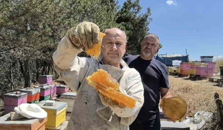 Bursa’da üretilen bu bal her derde deva