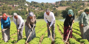 Kocaeli’de tarıma 1 milyar TL’lik destek