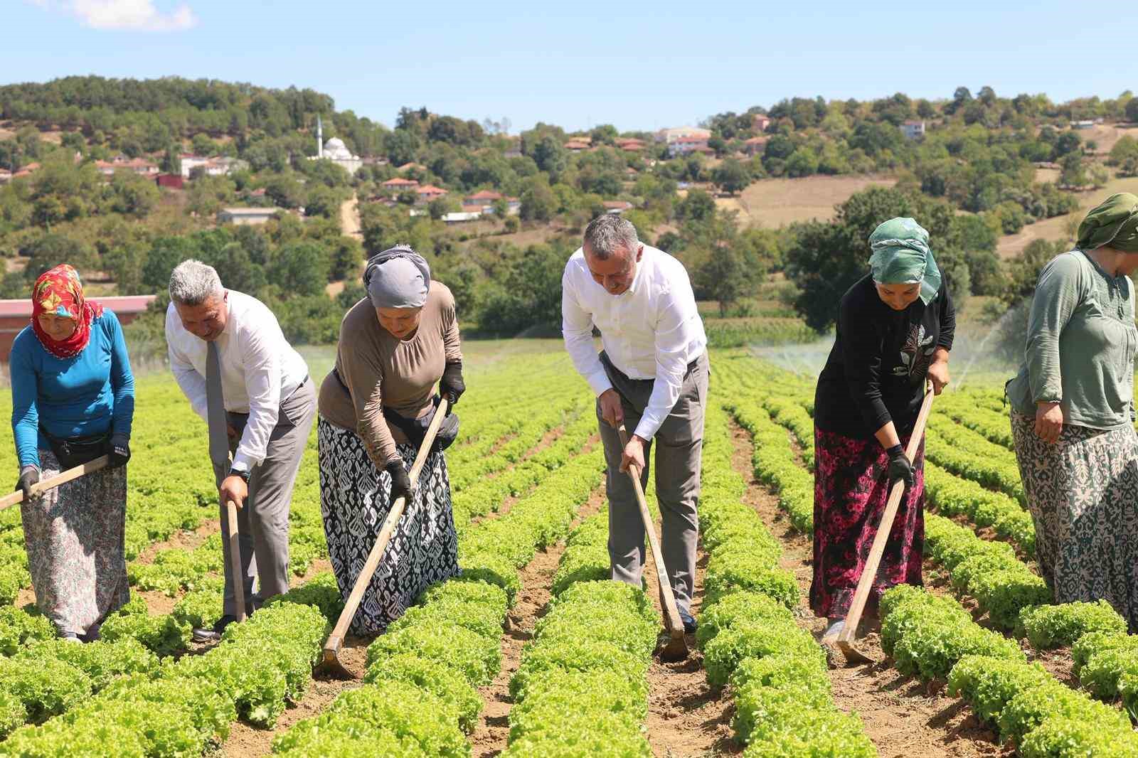Kocaeli’de tarıma 1 milyar TL’lik destek