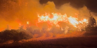 Bursa’daki orman yangını Akçasusurluk köyüne yaklaştı, yerleşim alanları boşaltıldı