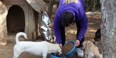 Getir’den bu yıl da 1 milyon kap mama desteği