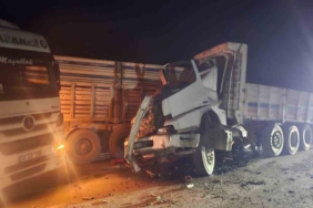 Yol kenarındaki arızalı araca çarptı