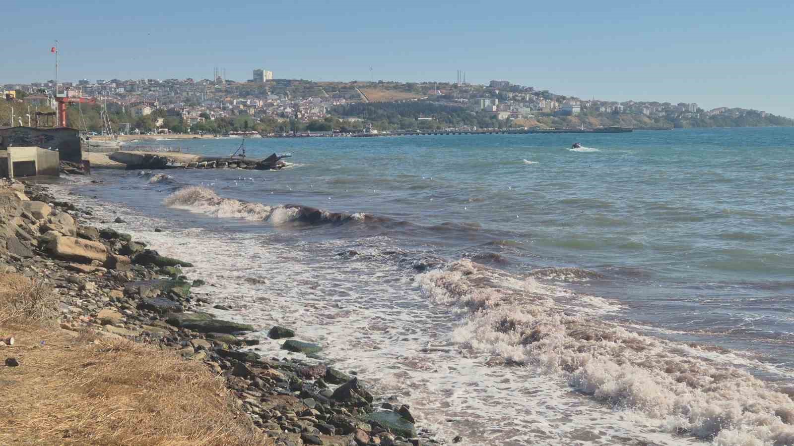 Tekirdağ’da poyraz fırtınası kıyılarda kızıl yosunlara neden oldu