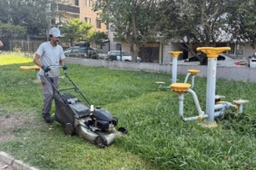 Körfez’de park ve bahçelere bakım işlemi