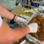 Jandarmanın operasyonunda av bayiinin her köşesinden kaçak tütün çıktı