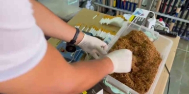 Jandarmanın operasyonunda av bayiinin her köşesinden kaçak tütün çıktı