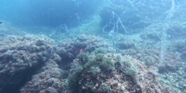 Marmara Denizi’nde yeni müsilaj alarmı