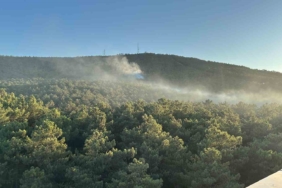 Ataşehir Kayışdağı ormanında yangın