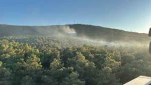 Ataşehir Kayışdağı ormanında yangın