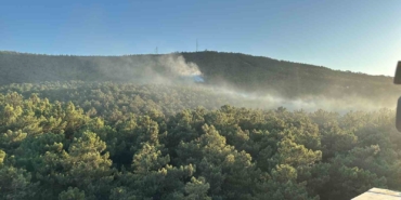 Ataşehir Kayışdağı ormanında yangın