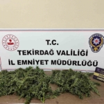Tekirdağ’da uyuşturucu operasyonu: 2 kişi tutuklandı