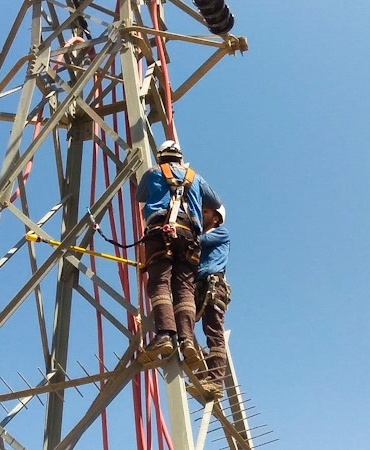 Fırat EDAŞ, kesintisiz enerji arzını ve leylekleri güvence altına alıyor
