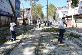 Alikahya Tramvay Hattı’nda ağaçlar budanıyor
